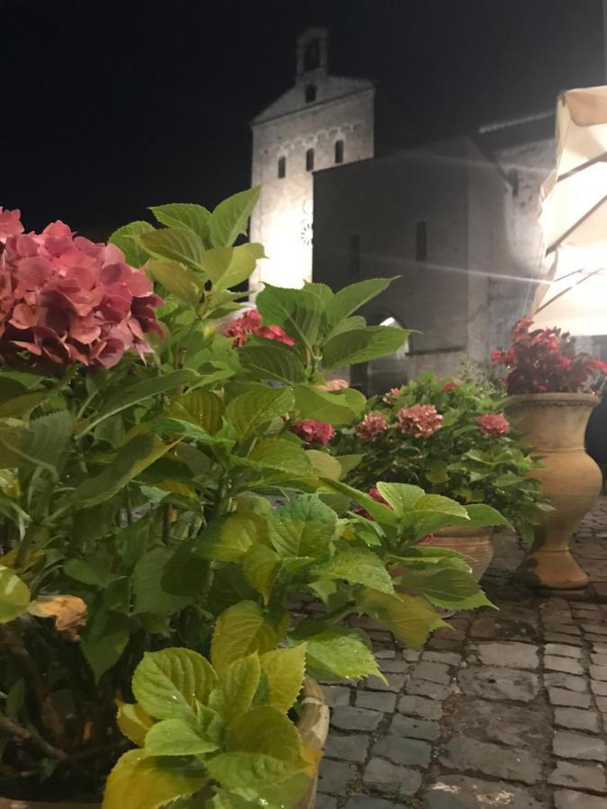 Affittacamere La Piazzetta 阿纳尼 外观 照片